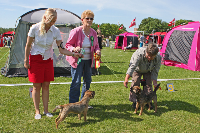 birbim28052012lborg.jpg