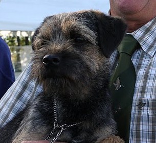 duffy-rets-border-2010.jpg