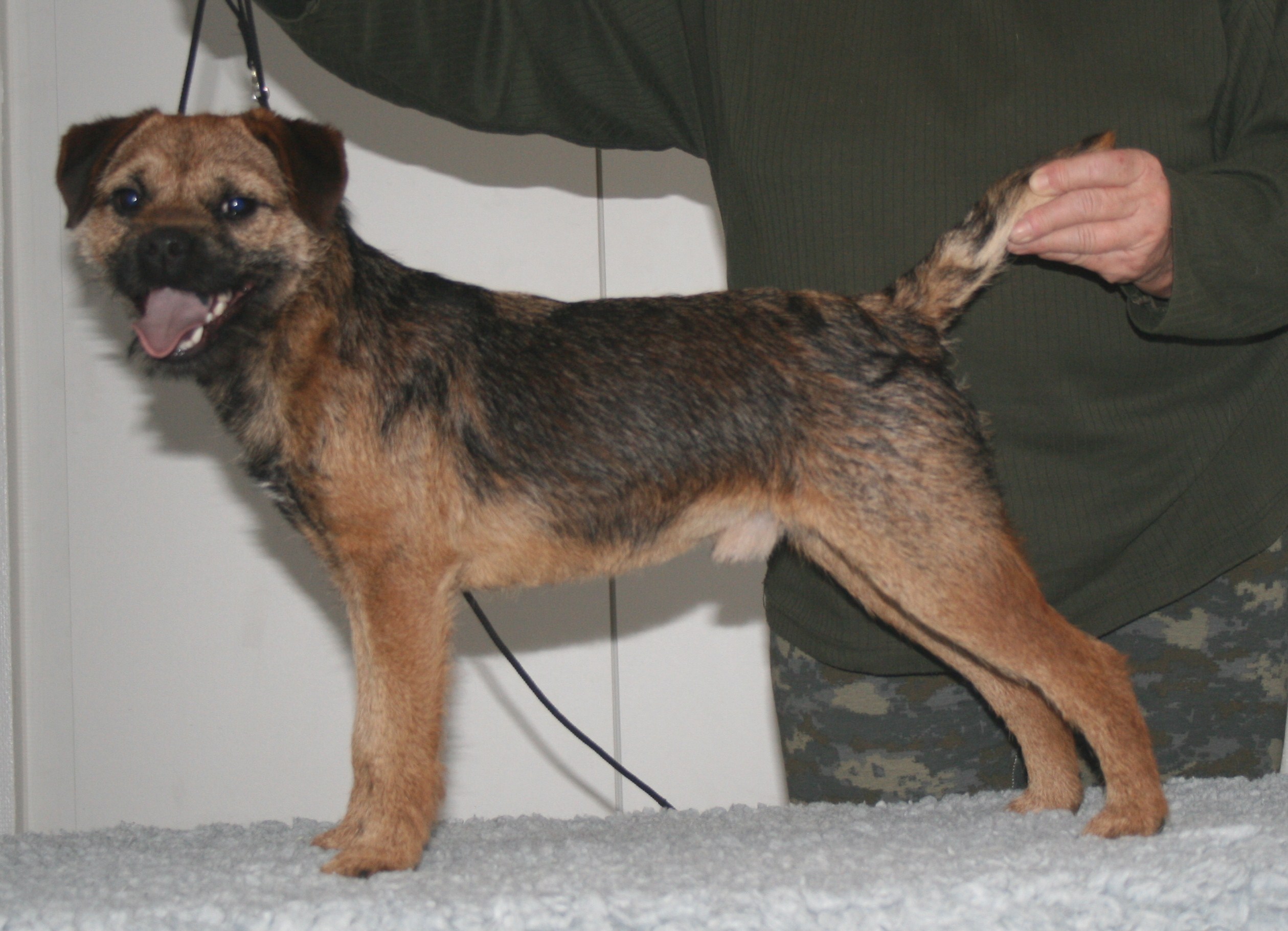 henry-januar-2011.jpg