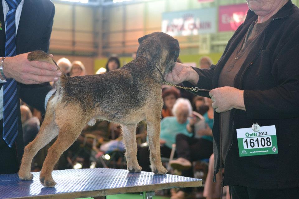 eddie_crufts_2012.jpg