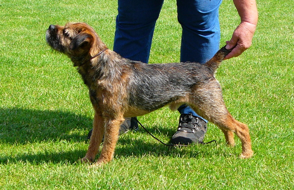 henry_champion_bornholm_1.7.2012.jpg