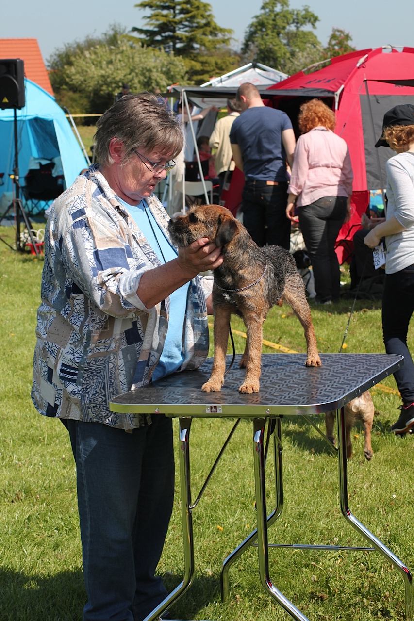 henry_on_the_table_20.maj2012.jpg