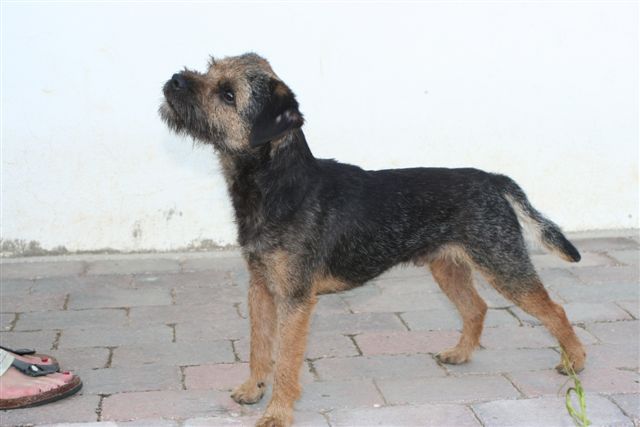 kali-kama_knockenduff_juni_2011.jpg