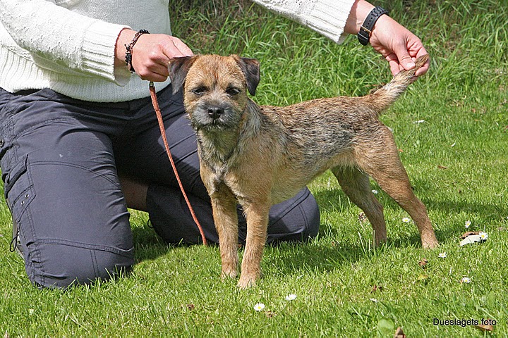 kali-kama_tillietudlem_kat_28winner_juniorkl_2011.jpg